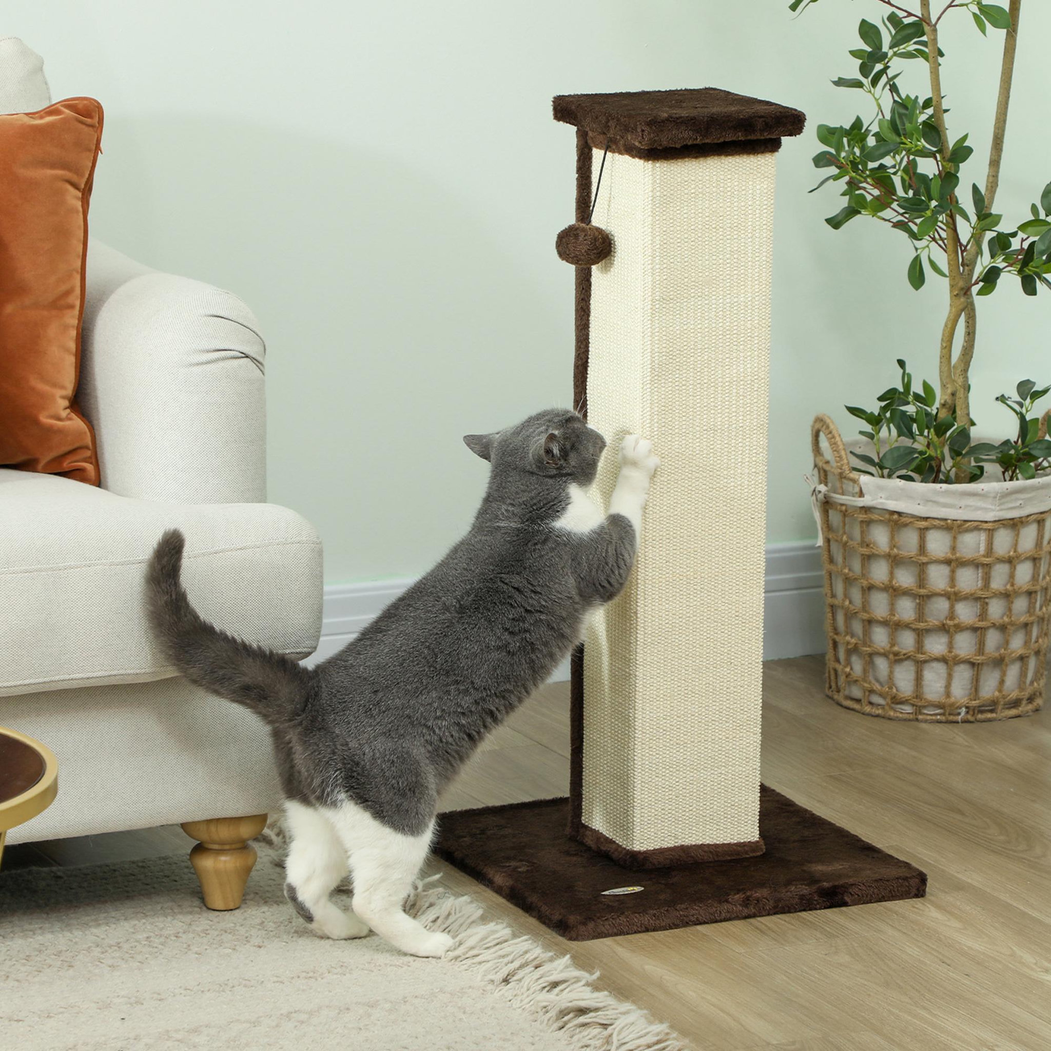 Voir la diapositive 4 : PAWHUT Griffoir tour pour chat h.81 cm - poteau à griffer avec jeu balle suspendue - peluche gris sisal naturel