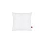 Voir la diapositive 3 : ABEIL ABEIL Lot de 2 Oreillers Anti-Acarien - 60 x 60 cm - Blanc