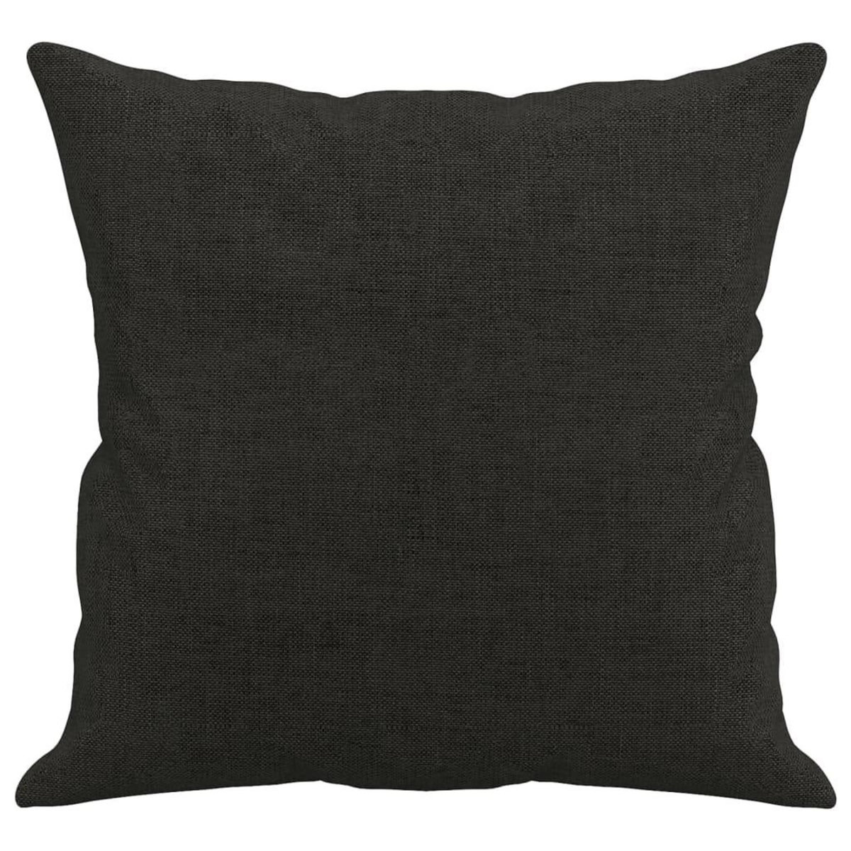 VIDAXL Coussins decoratifs lot de 2 Noir 40x40 cm Tissu