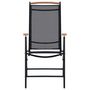 Voir la diapositive 3 : VIDAXL Chaises de jardin pliables lot de 2 aluminium et textilene noir