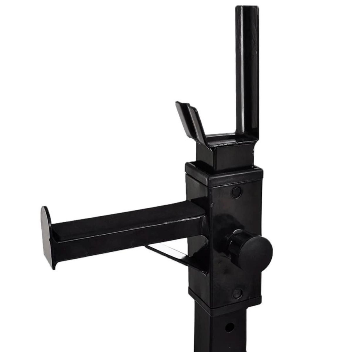 VIDAXL Support d'halteres avec jeu d'halteres et de poids 60,5 kg