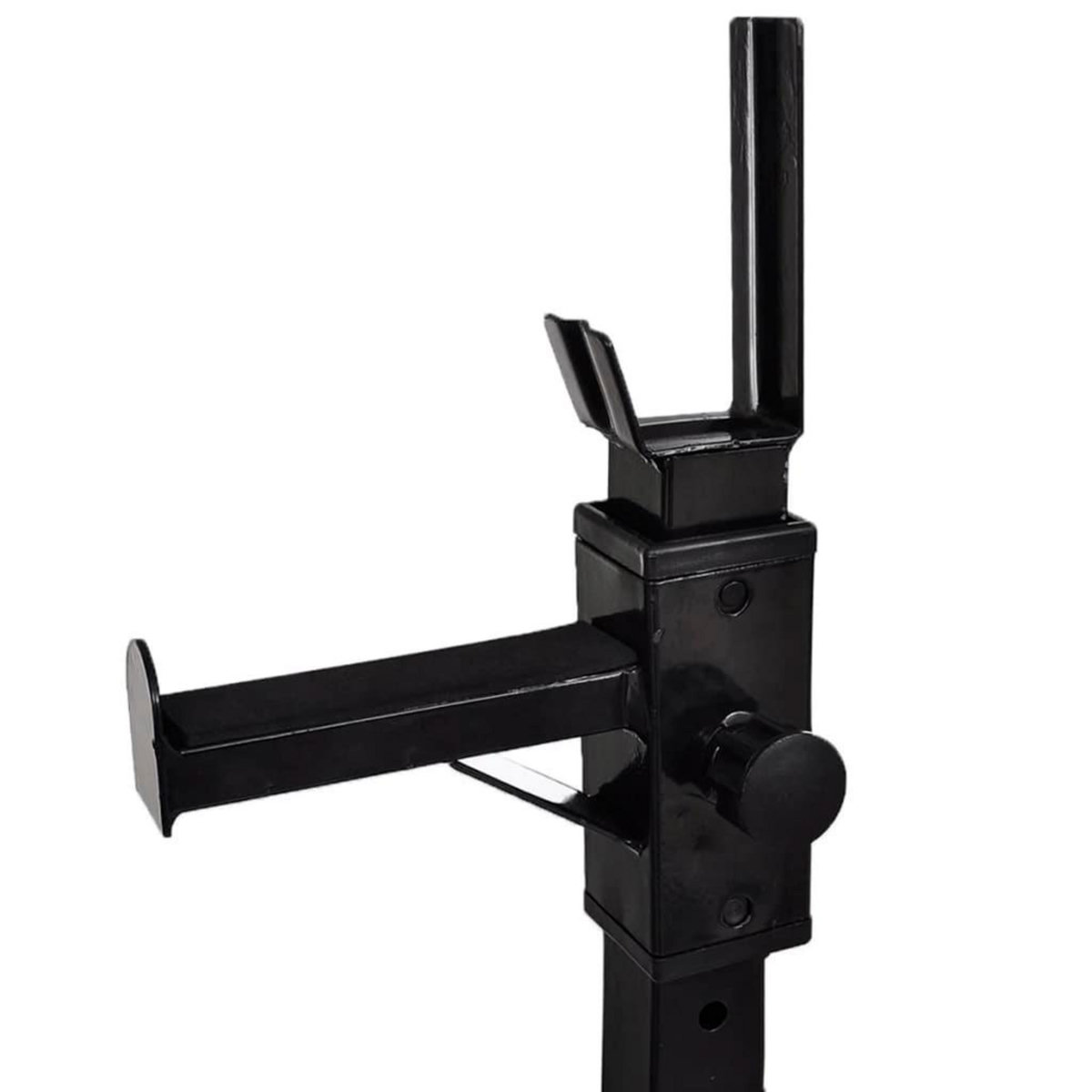 VIDAXL Support d'halteres avec jeu d'halteres et de poids 60,5 kg