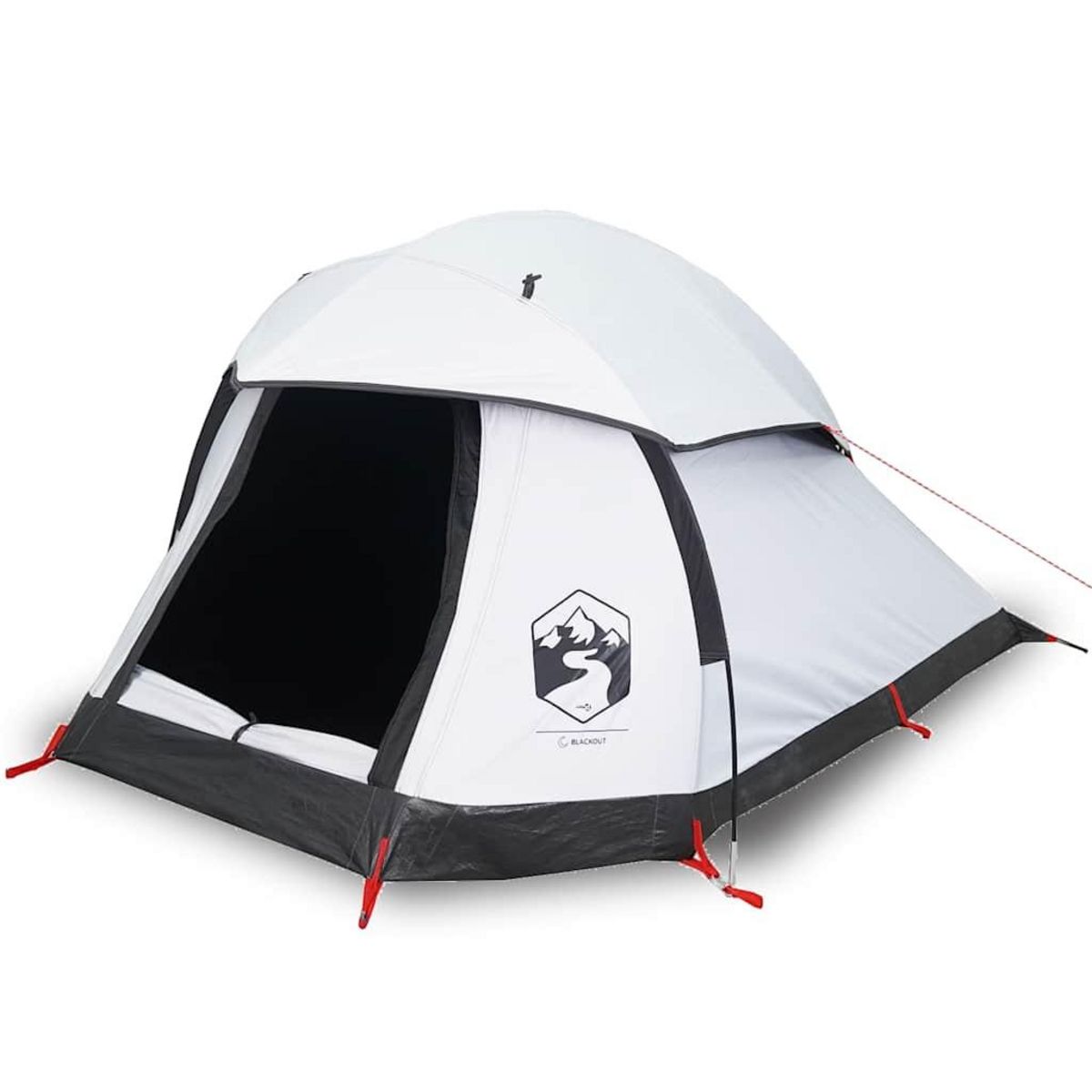 VIDAXL Tente de camping a dome 1 personne tissu occultant impermeable