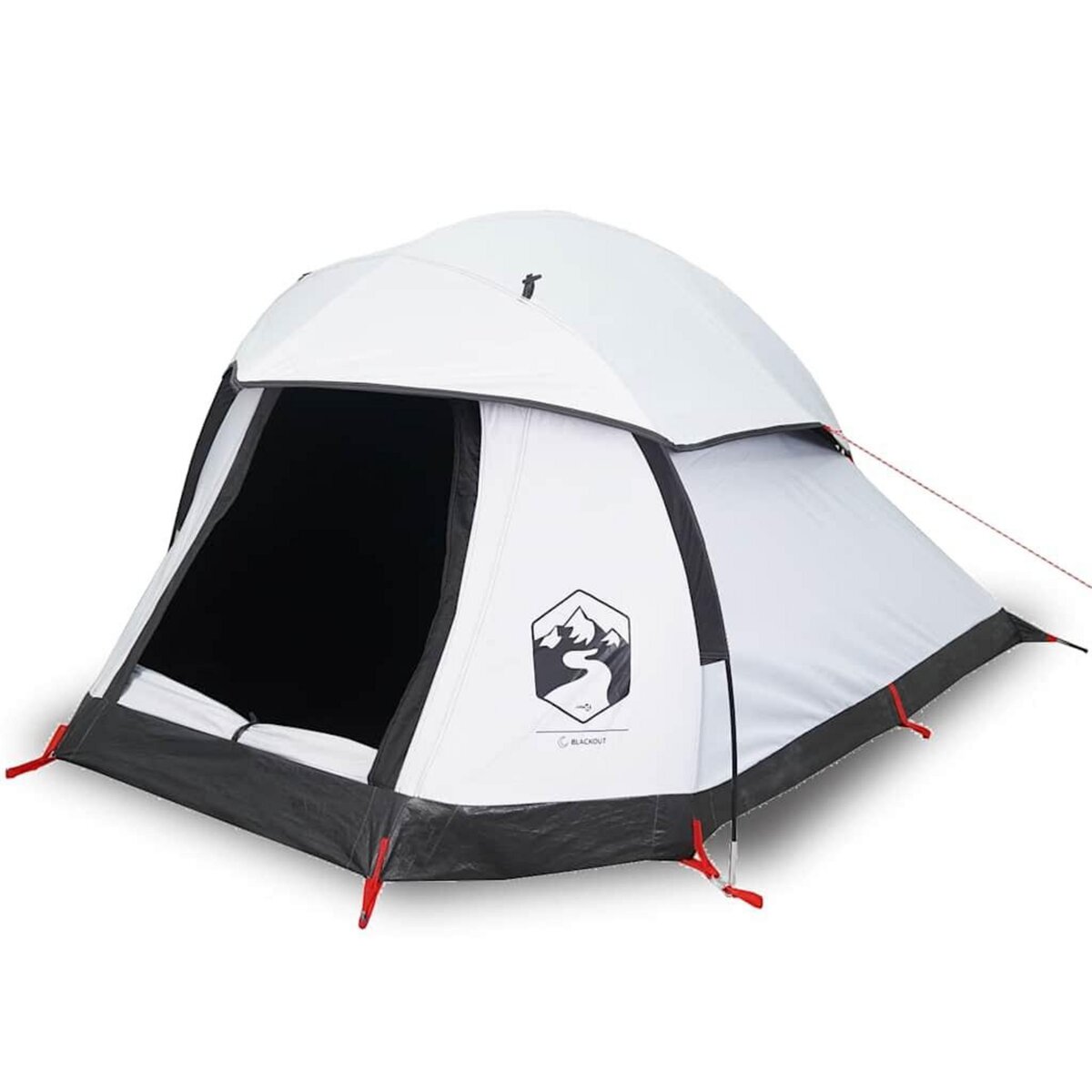 VIDAXL Tente de camping a dome 1 personne tissu occultant impermeable