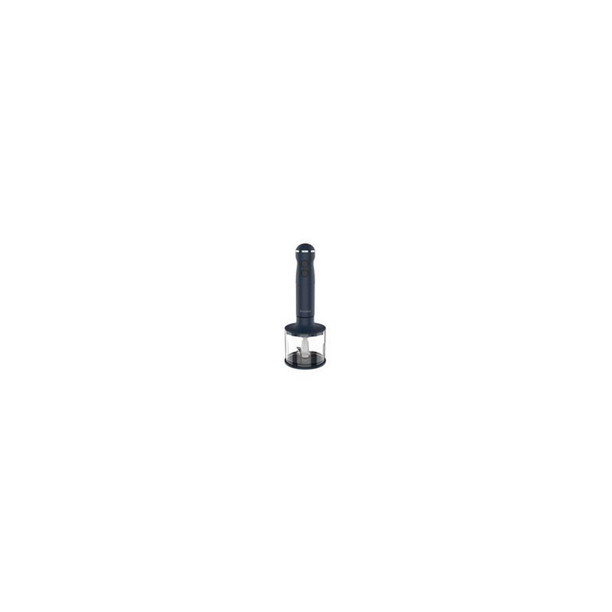 Voir la diapositive 5 : Terraillon Mixeur plongeant 1000w bleu nuit - 15440