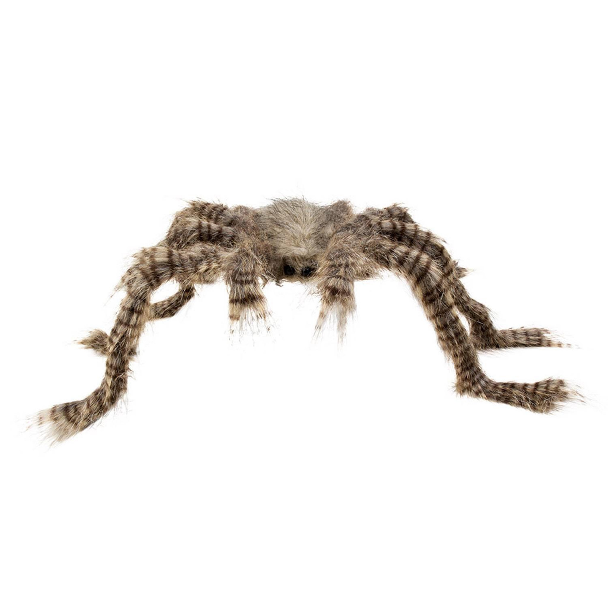 Boland Araignée Velue : Brun-Noir-Gris
