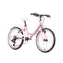 Voir la diapositive 2 : DISCOVERY ADVENTURES Vélo enfant (120/140 cm) - Modèle 20'' Fille  Discovery Adventures - Fourche rigide - 6 vitesses - Dérailleur Shimano - Freins V-Brake - Porte Bagages