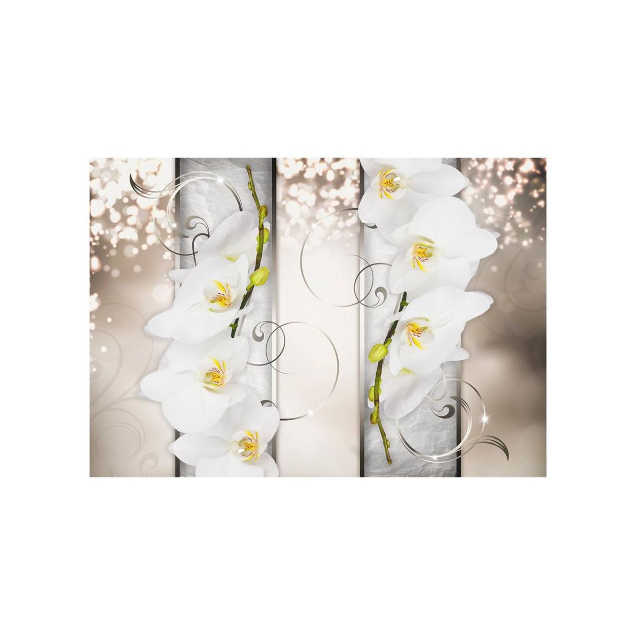 Voir la diapositive 2 : Paris Prix Papier Peint  Sophisticated Duet