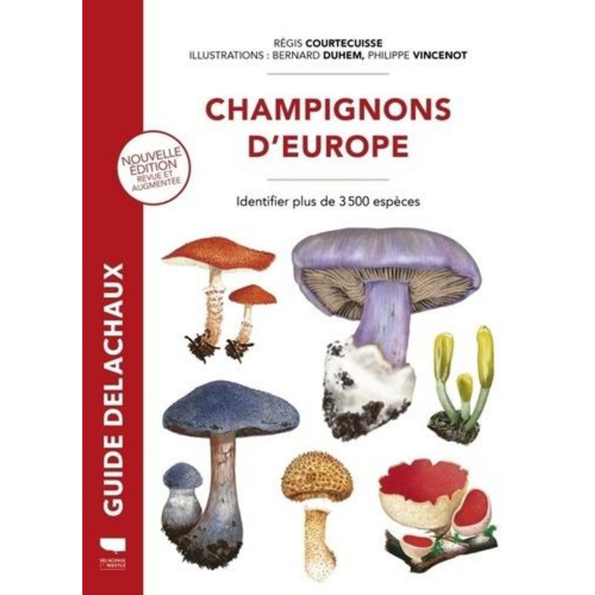CHAMPIGNONS D'EUROPE, Courtecuisse Régis