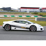 Voir la diapositive 4 : Smartbox Pilotage 2 tours du circuit Geoparc au volant d'une Lamborghini, d'une Ferrari ou d'une Porsche - Coffret Cadeau Sport & Aventure