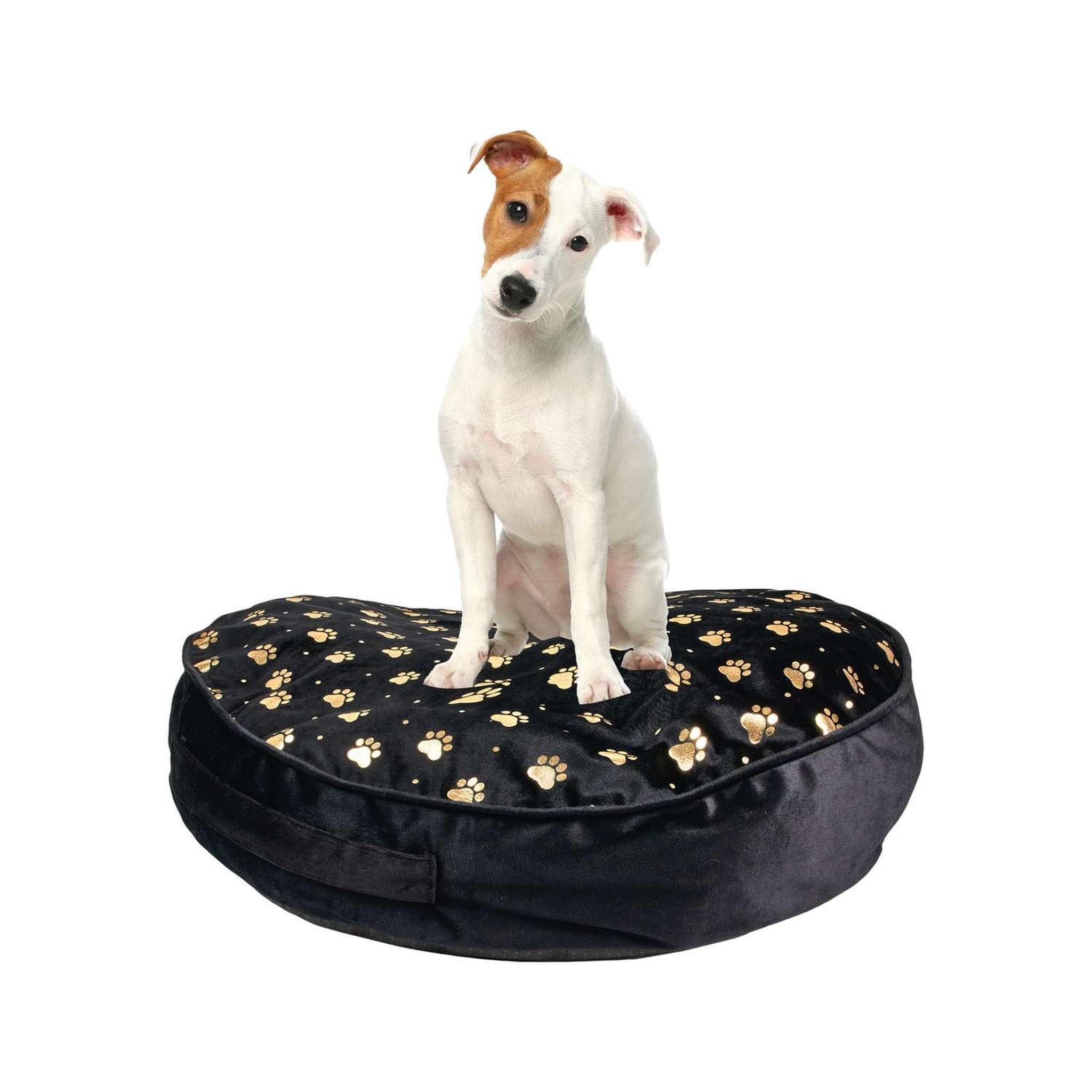 Voir la diapositive 3 : The concept Factory Coussin moelleux tigrou pour chat et chien