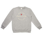 REDSKINS Sweat  Junior Redskins 20006. Coloris disponibles : Gris