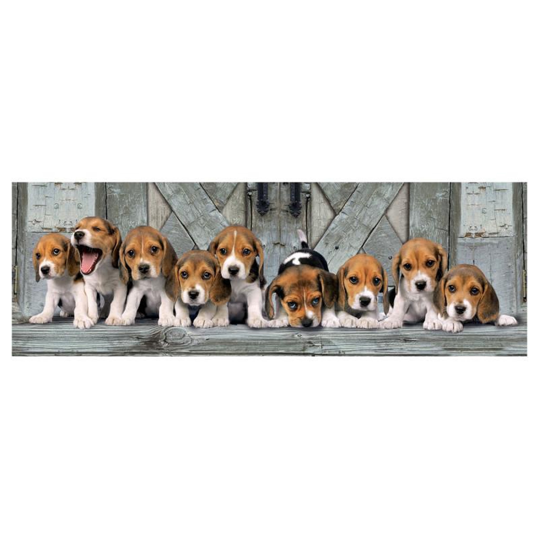 Voir la diapositive 2 : CLEMENTONI Clementoni Panorama Puzzle Beagles 1000 pièces