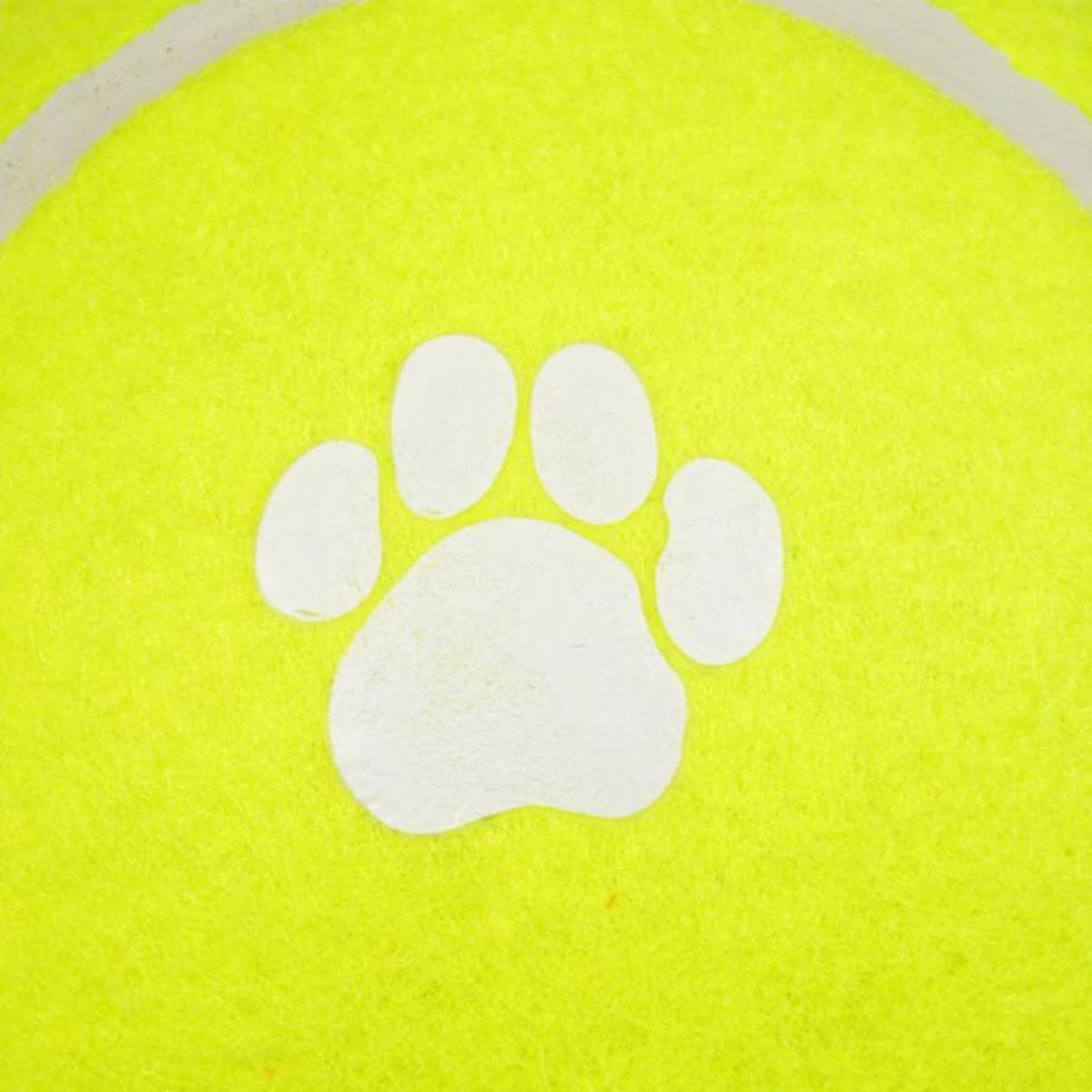 Paris Prix Jouet pour Chien  Balle de Tennis  15cm Jaune