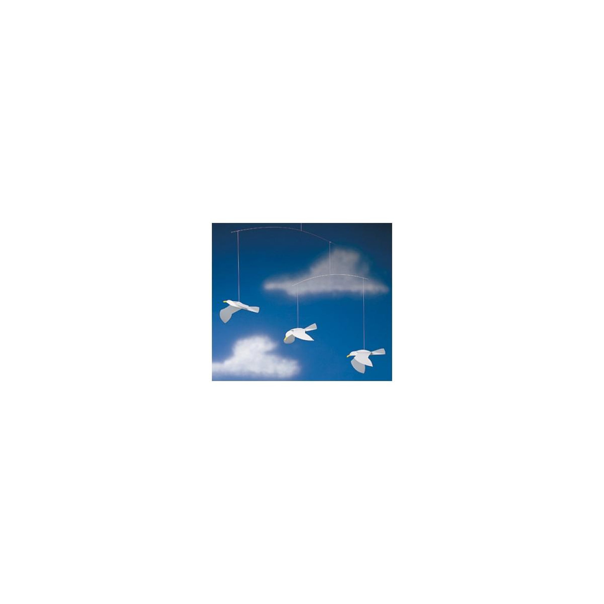 Voir la diapositive 2 : Flensted Soaring Seagulls
