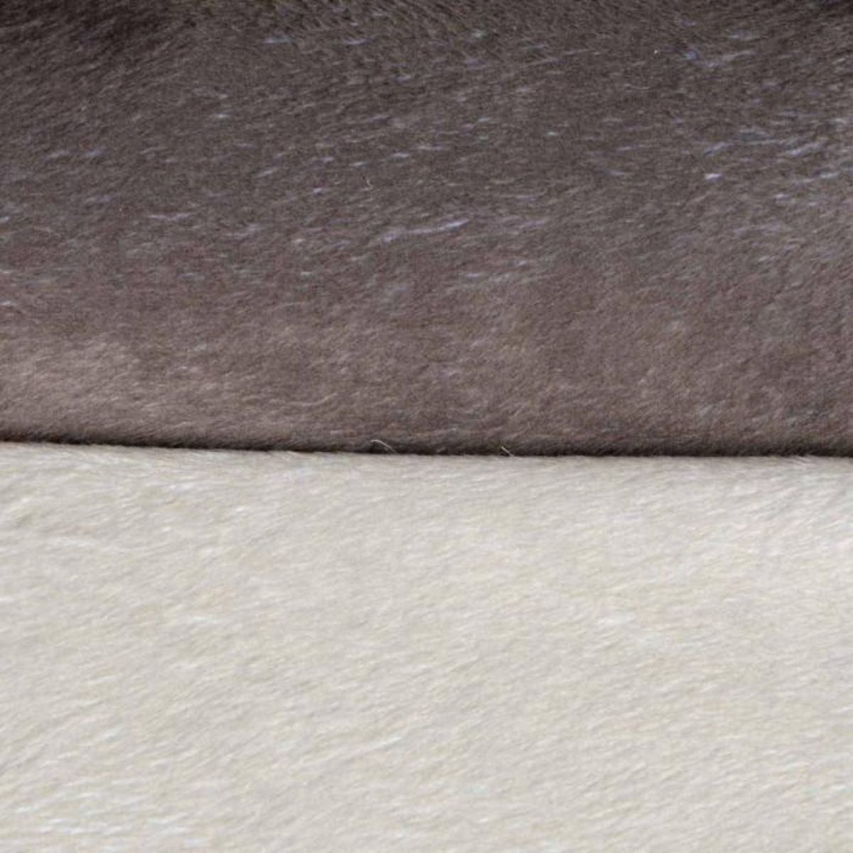 Paris Prix Plaid Polaire pour Chien  Patchy  100cm Beige