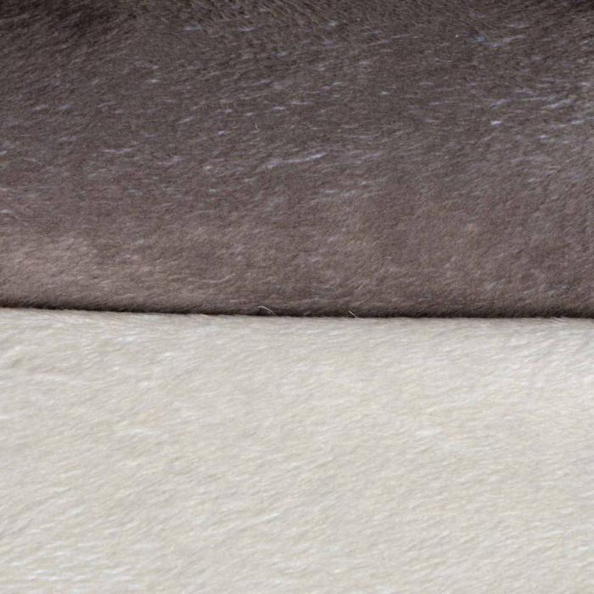 Paris Prix Plaid Polaire pour Chien  Patchy  100cm Beige