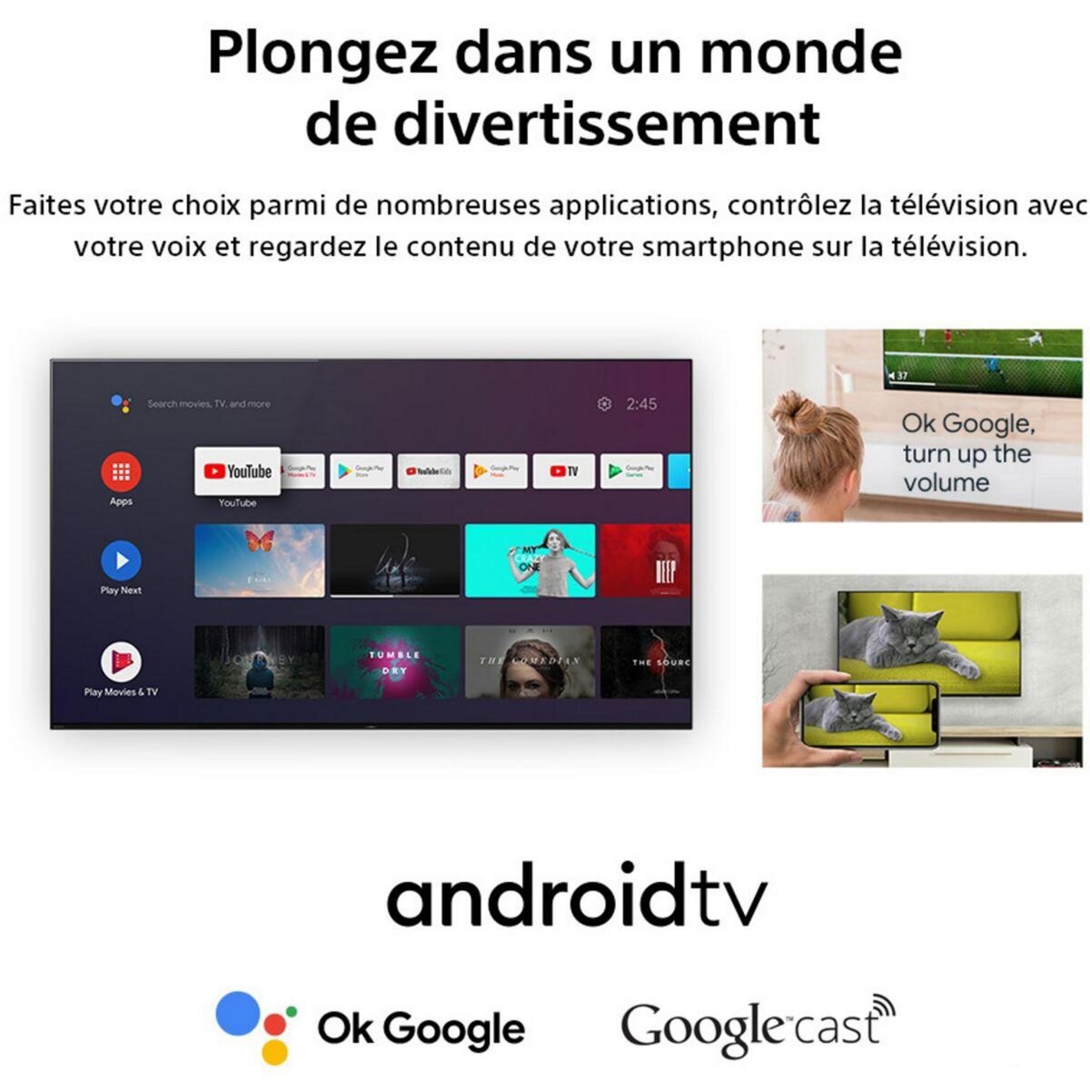 SONY TV LED KD32W800P1-32 pouces (80cm)