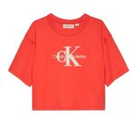 CALVIN KLEIN JEANS T shirt  Fille Calvin Klein Jeans Teddy. Coloris disponibles : Orange