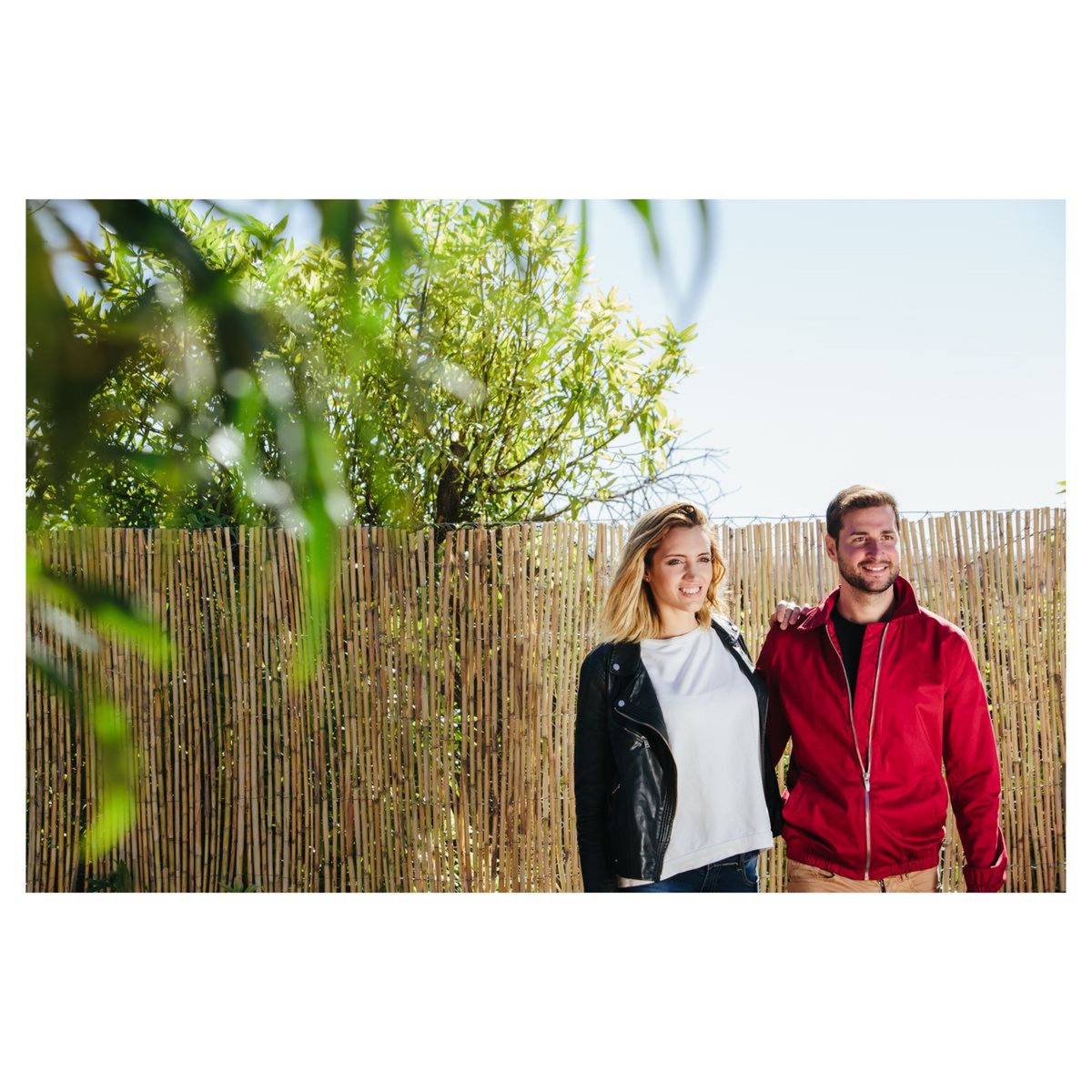 Catral Canisse bambou 2m x 5m