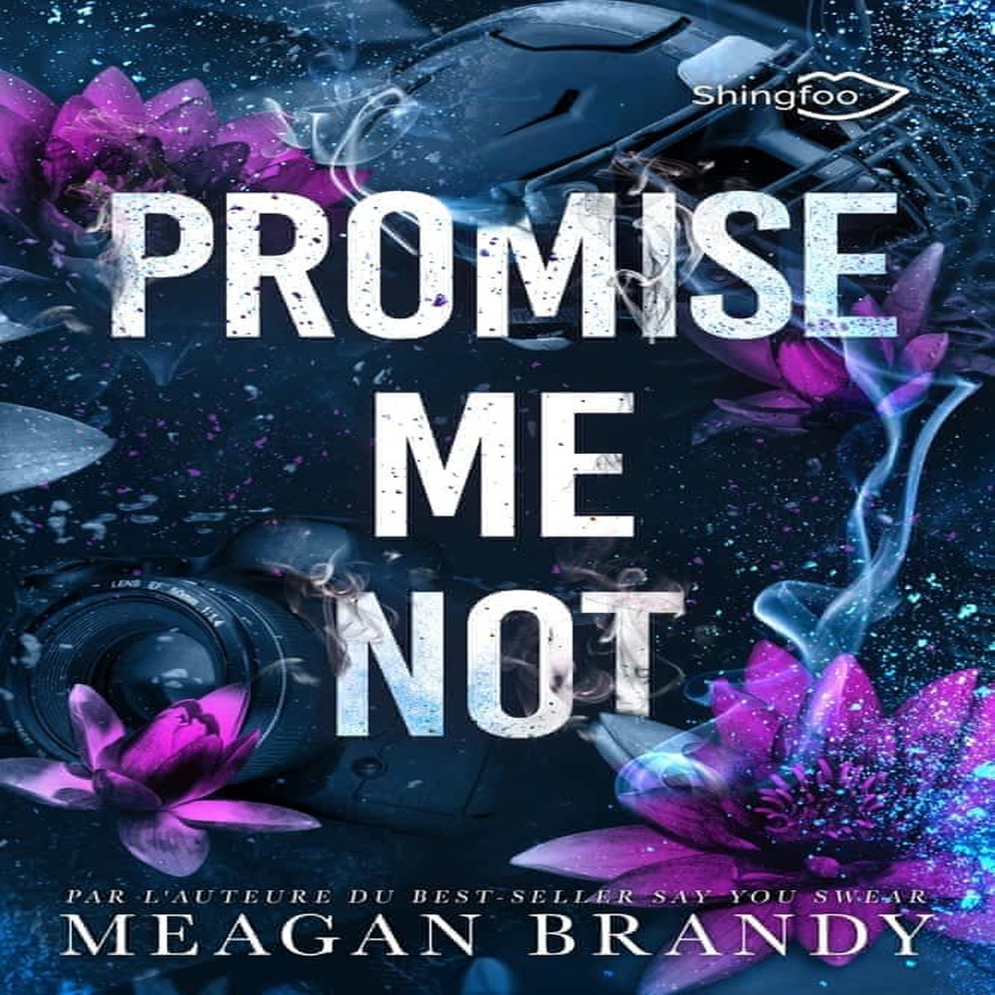 BOYS OF AVIX TOME 2 : PROMISE ME NOT, Brandy Meagan