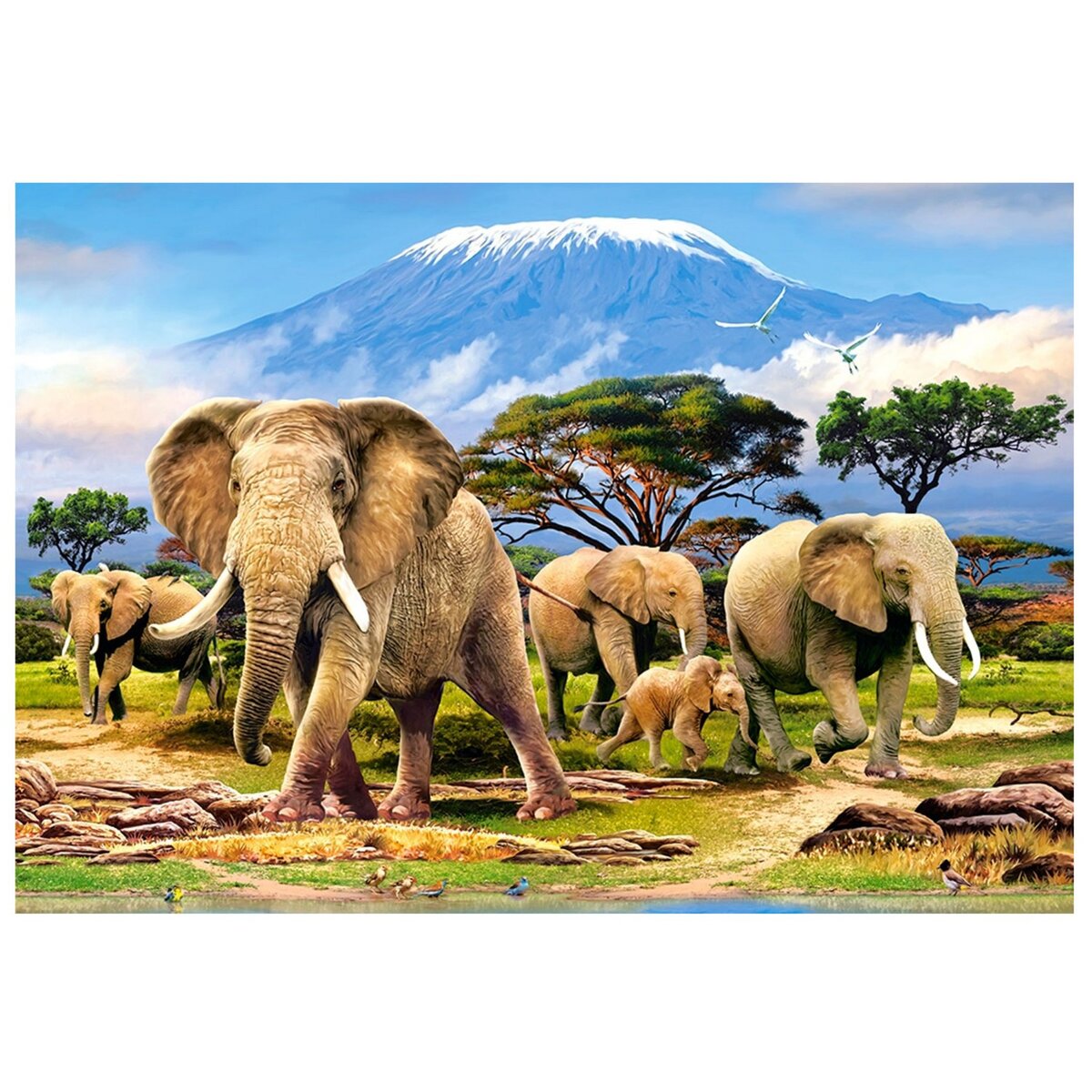 Castorland Puzzle 1000 pièces : Réveil matinal près du Kilimanjaro