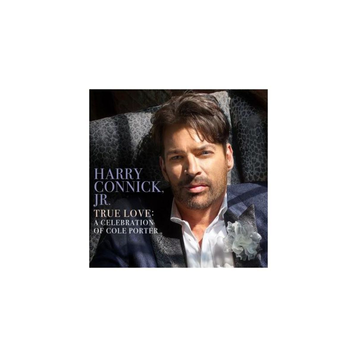 True Love A Celebration Of Cole Porter