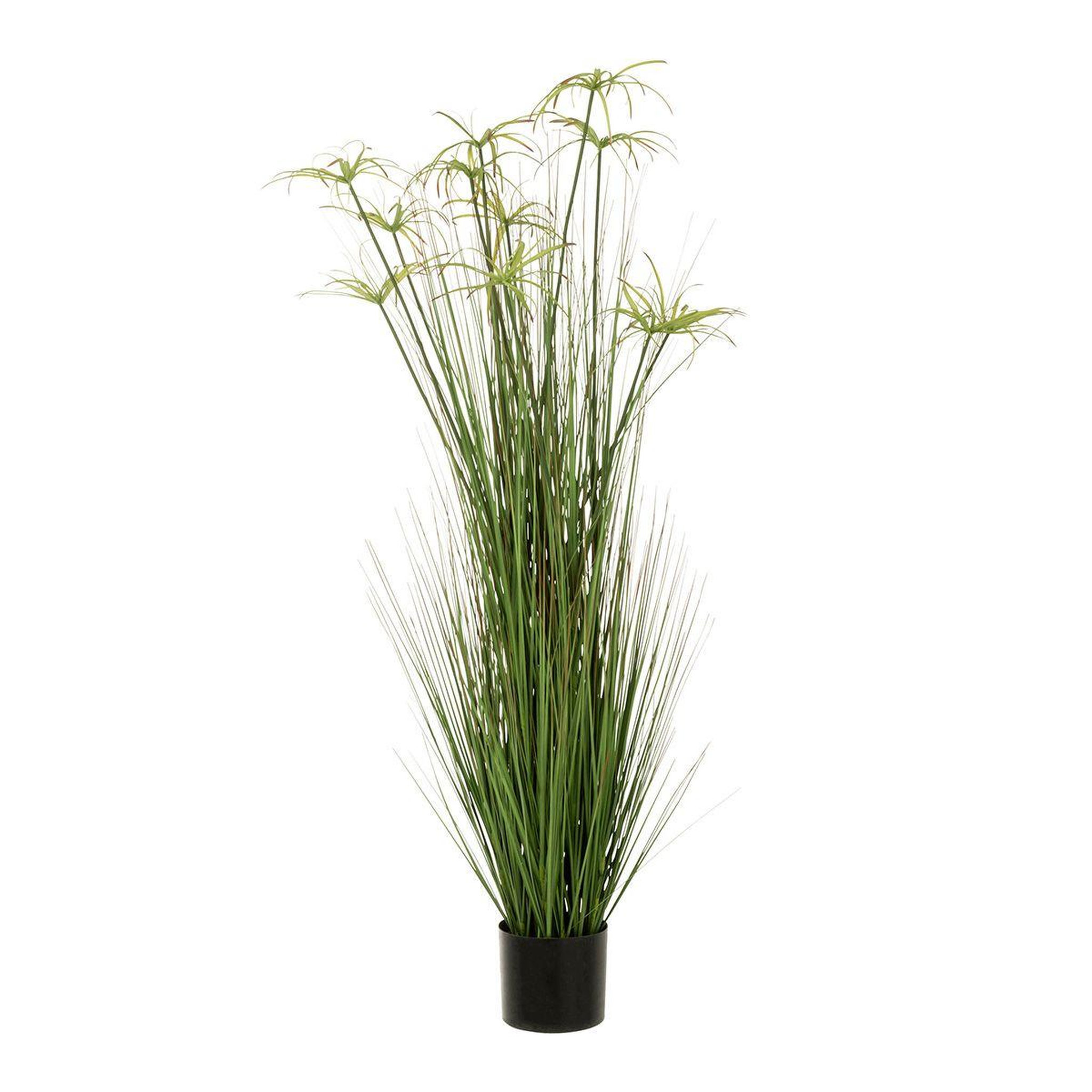 Voir la diapositive 1 : J-LINE Plante artificielle  cyperus alternifolius 11 têtes  140cm vert