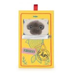 BT CHAPS Peluche Chat Siamois Eddie En Boite sardines - 17 Cm