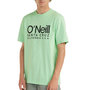 Voir la diapositive 1 : O'NEILL T Shirt  Homme O'Neill Cali