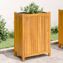 Voir la diapositive 1 : VIDAXL Jardiniere avec doublure 54x31x75 cm bois massif d'acacia