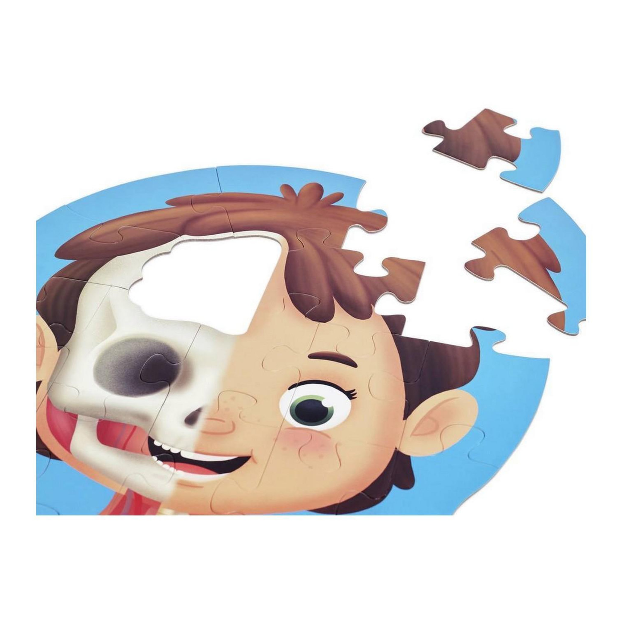 Voir la diapositive 4 : Hape Puzzle Corps humain -