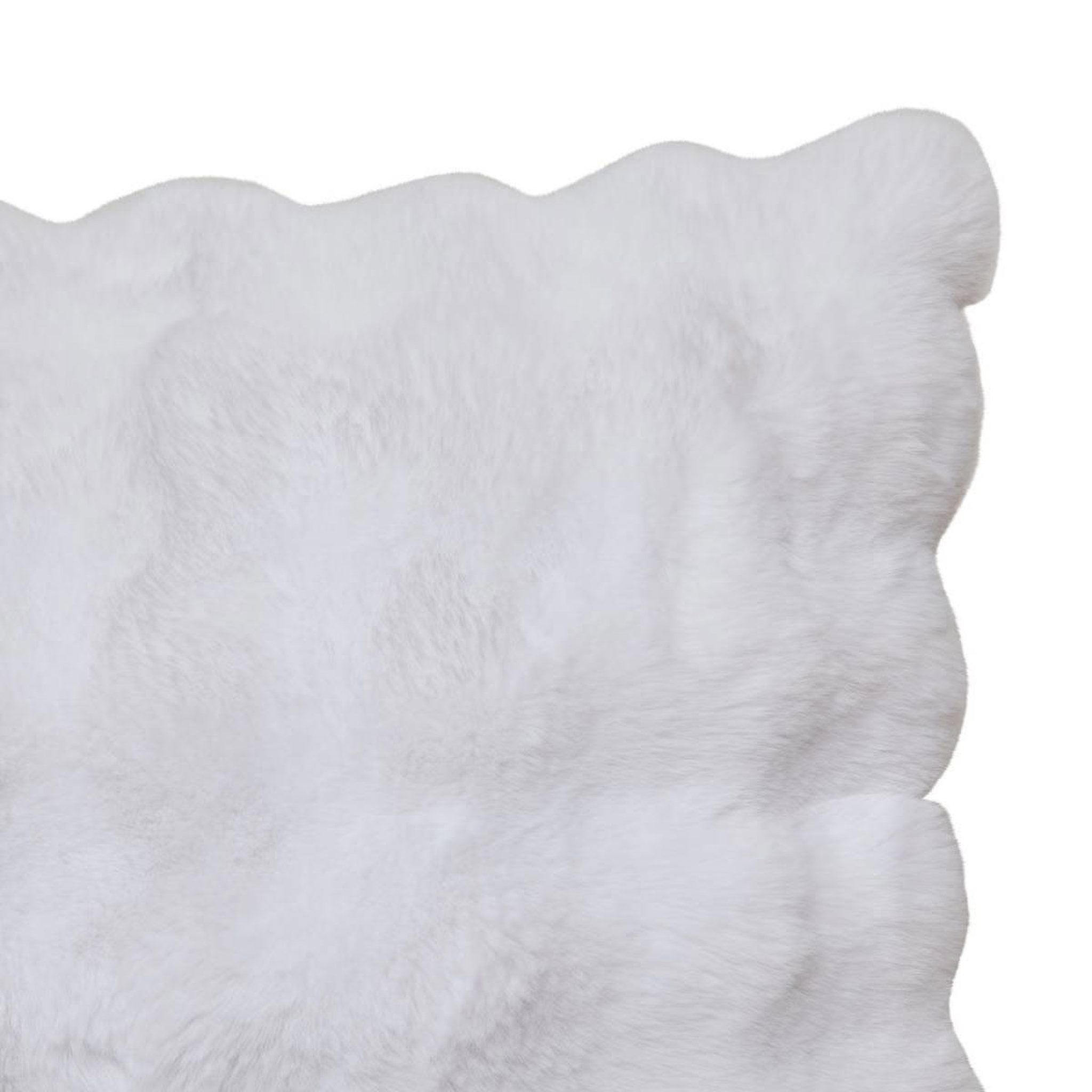 Voir la diapositive 2 : ATMOSPHERA Coussin effet fourrure 3d  zephy  50x80cm blanc