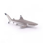 Voir la diapositive 1 : Papo 56034 Requin a pointes noires