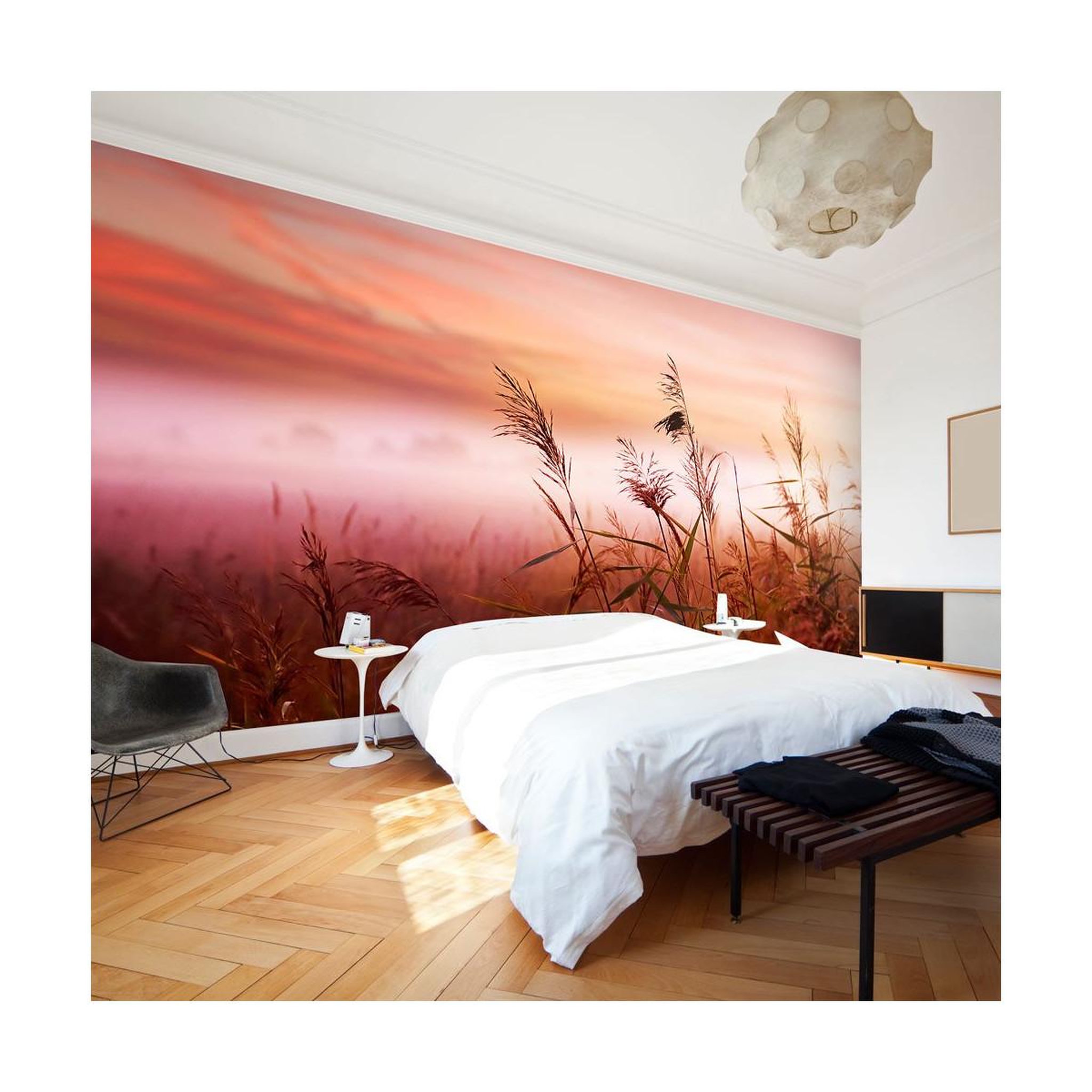 Paris Prix Papier peint  prairie à l'aube ii  450x270cm