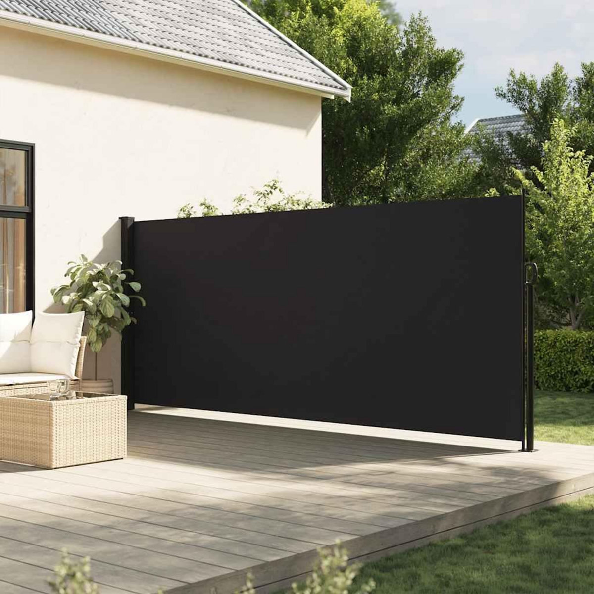 VIDAXL Auvent lateral retractable noir 160x500 cm