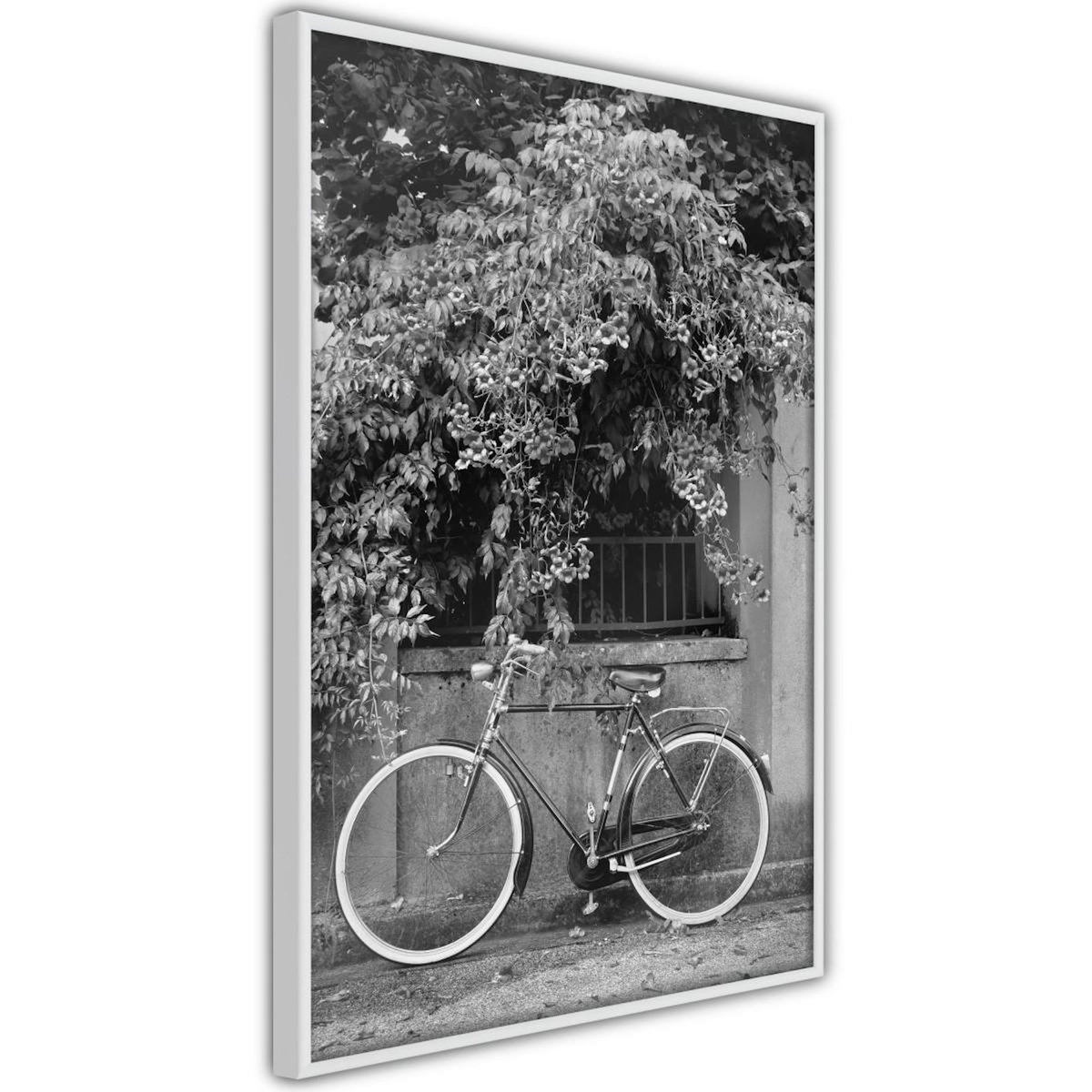 Paris Prix Affiche Murale Encadrée  Bicycle with White Tires