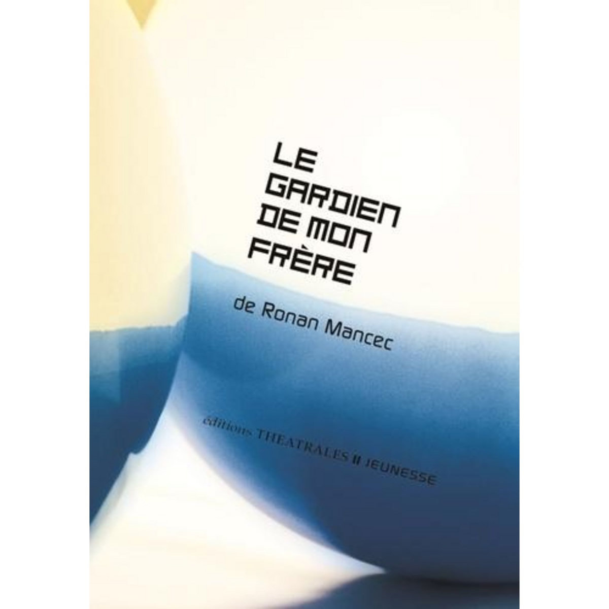 LE GARDIEN DE MON FRERE, Mancec Ronan