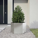 VIDAXL Jardiniere hexagone 69x60x45 cm acier inoxydable