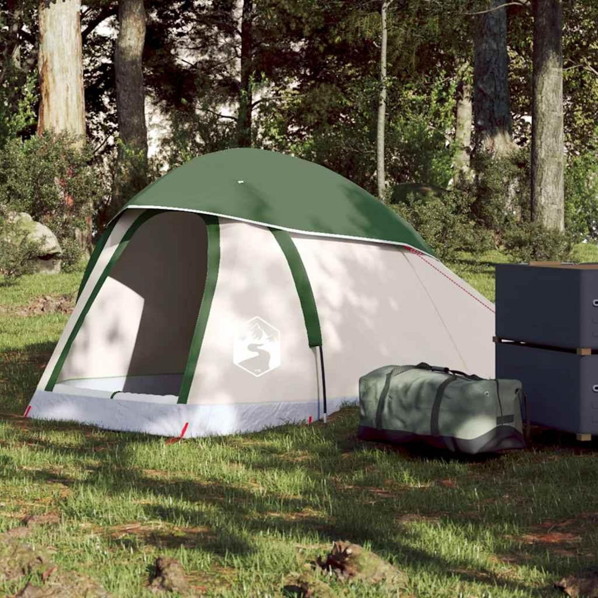 VIDAXL Tente de camping a dome 1 personne vert impermeable