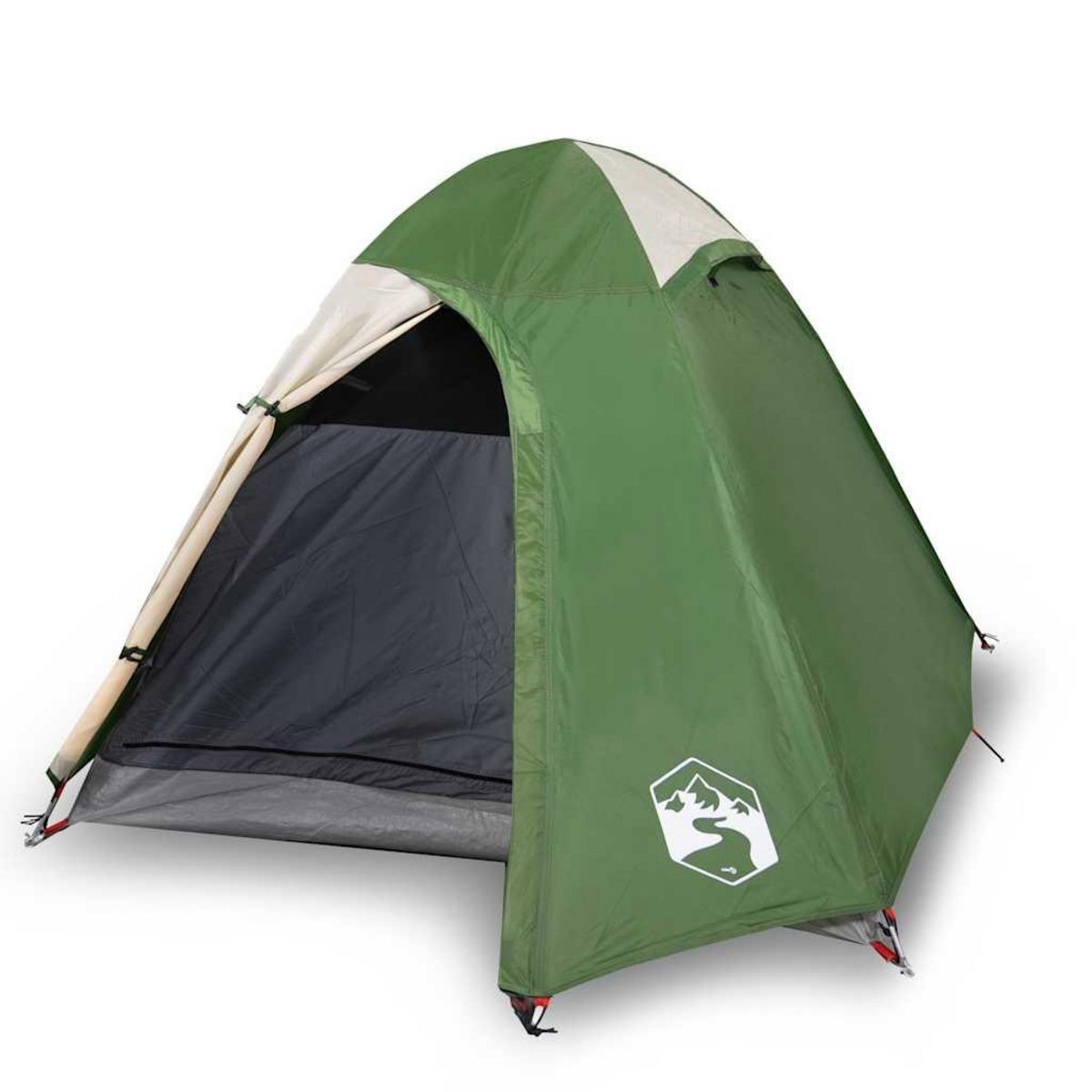 VIDAXL Tente de camping a dome 2 personne vert impermeable
