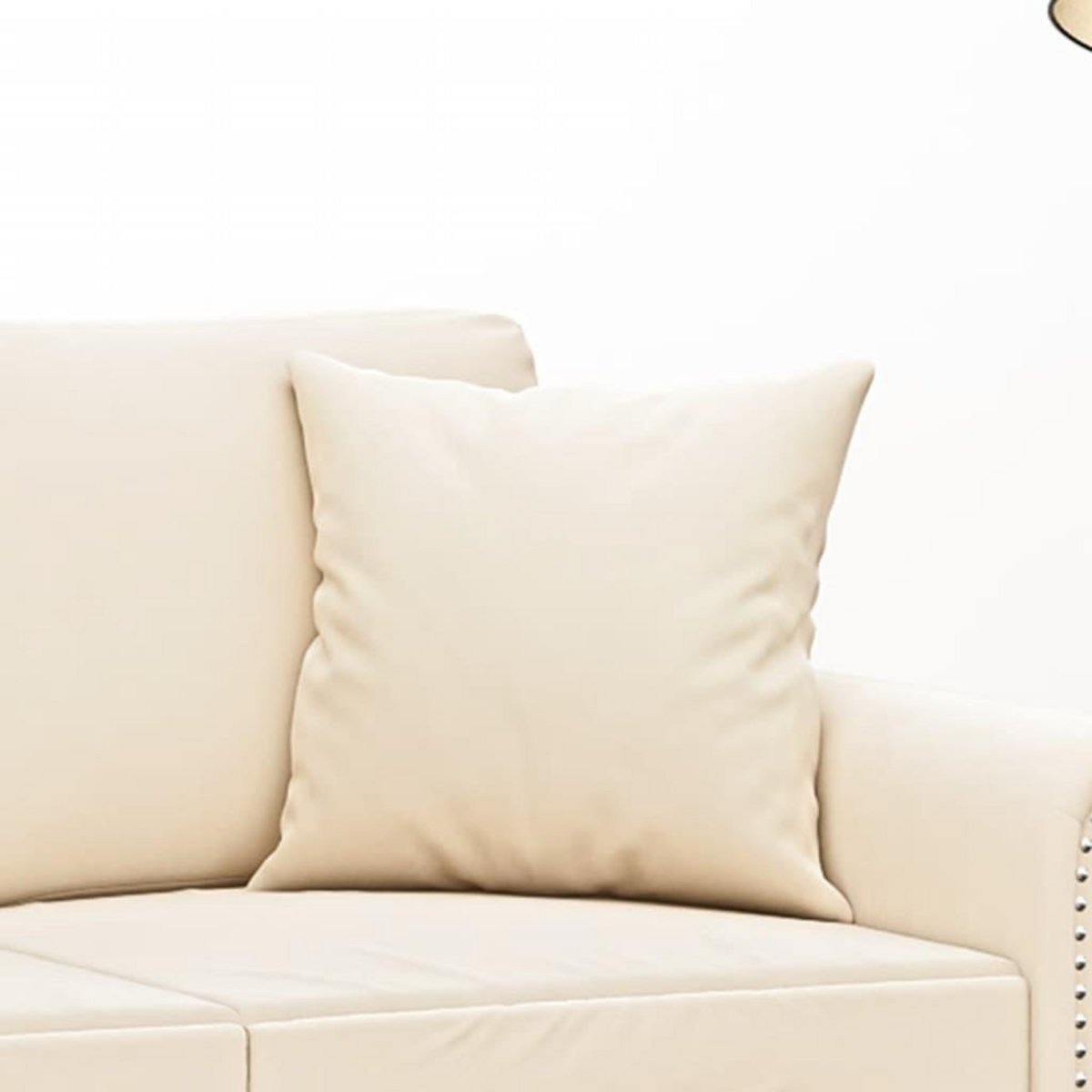 VIDAXL Coussins decoratifs lot de 2 Creme 40x40 cm Velours