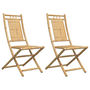 Voir la diapositive 2 : VIDAXL Chaises pliables de jardin lot de 2 46x66x99 cm bambou
