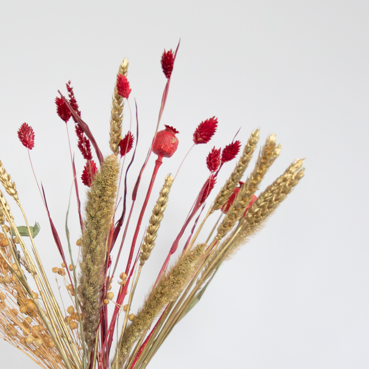 PLANT IN A BOX Fleurs séchées - Bouquet 'Jingle Bells'