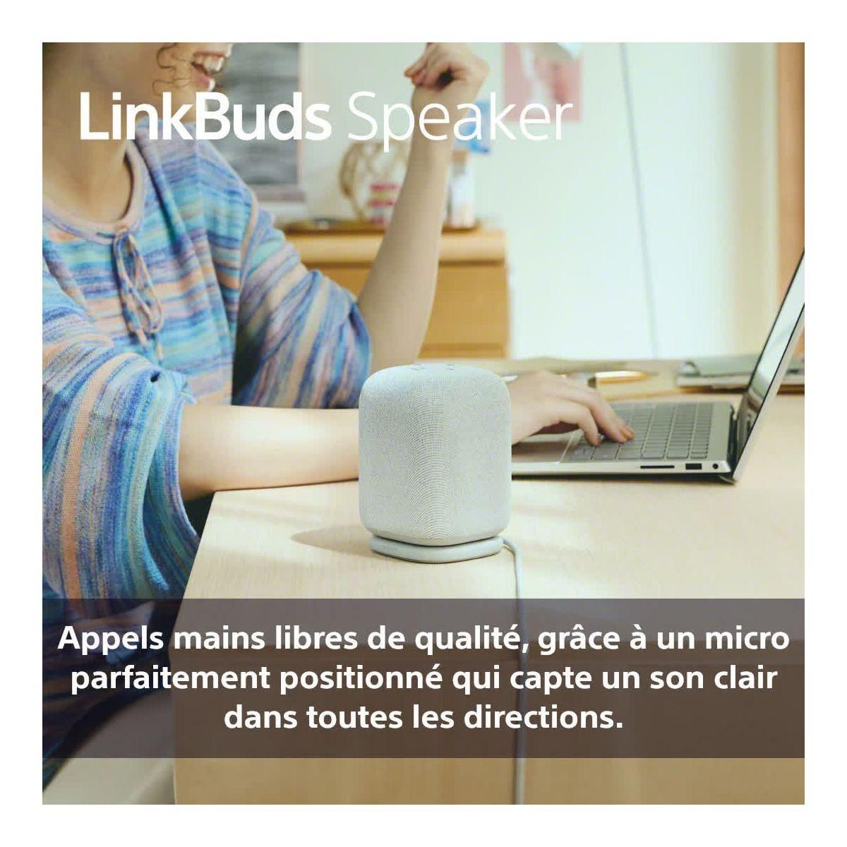 SONY Enceinte portable LINKBUDS Speaker Grise