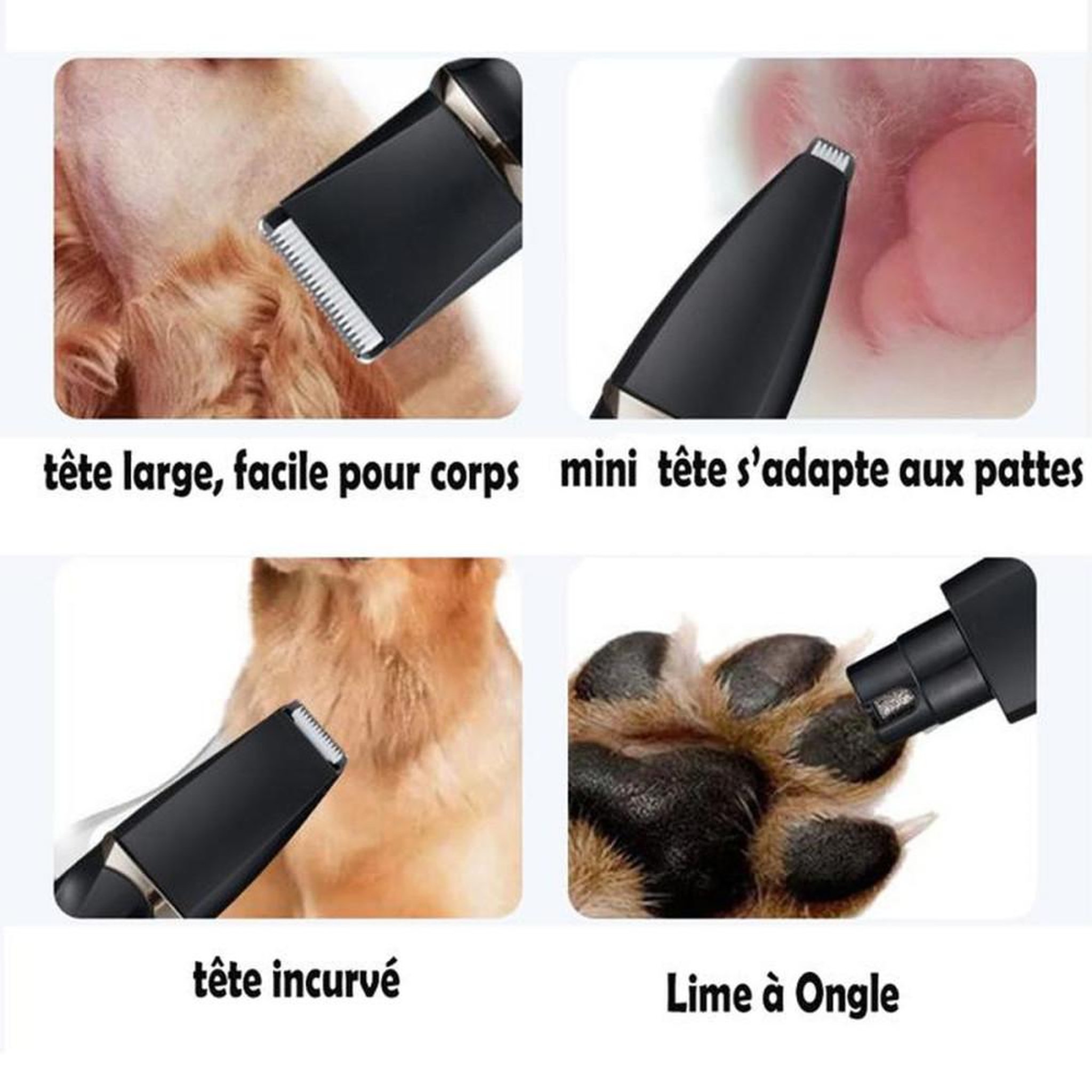 Voir la diapositive 2 : Tondeuse électrique 4-en-1 poils chiens et chats, lames en céramique, IPX4, recharge USB-C 1000 mAh, peignes de guidage