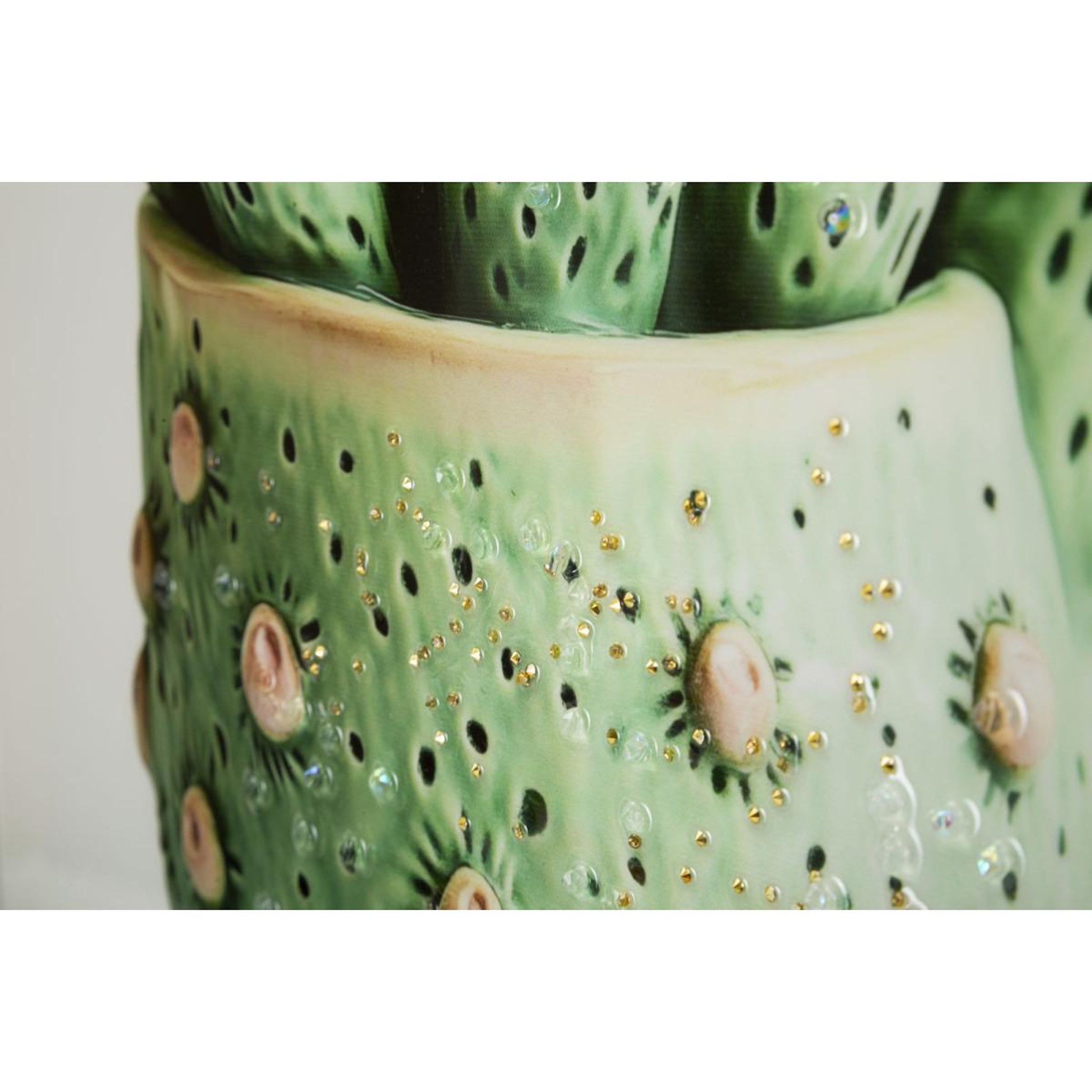 Voir la diapositive 4 : Paris Prix Tableau imprimé  cactus i  40x40cm multicolore