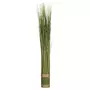 ATMOSPHERA Fagot d'herbes artificielles - 79 cm
