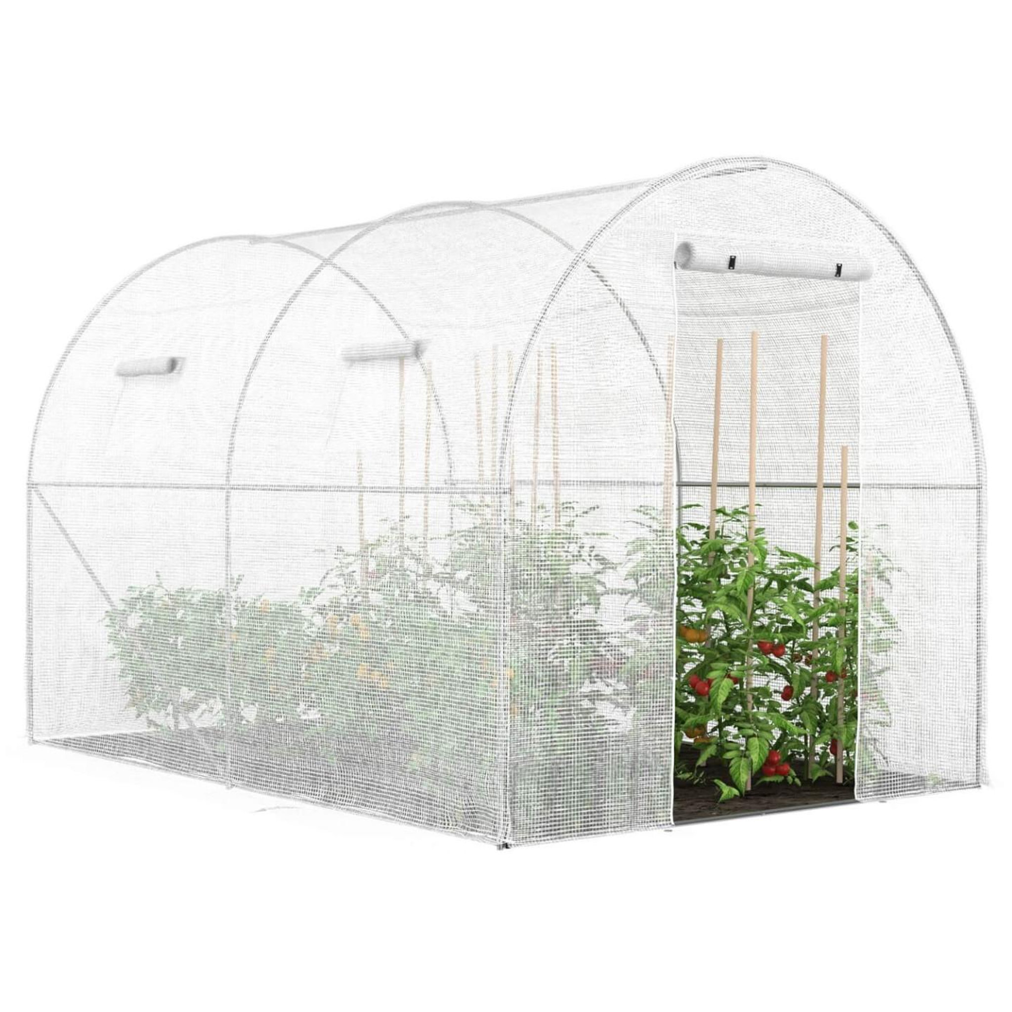 ID MARKET Serre de jardin tunnel 6m² 3 x 2 x 2 m acier galvanisé + bâche anti-UV avec porte et fenêtres ROMA blanche