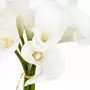 ATMOSPHERA Bouquet de Fleurs  8 Aromes  36cm Blanc